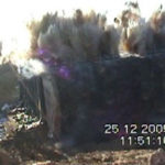 Micklefield Blowdown